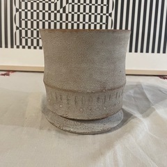 観葉植物　植物鉢　約4号　《中古》