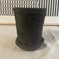 観葉植物　植物鉢　《新品》