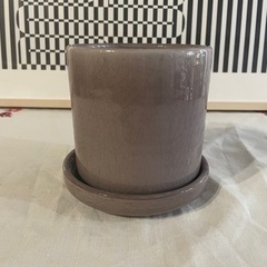 観葉植物　植物鉢　《中古》