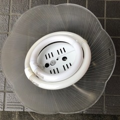 蛍光灯ペンダントの画像