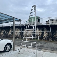 剪定用はしご　さらに値下げしました！
