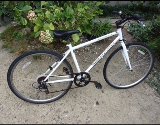 バイク ロードバイク 白色 自転車 ライトパース