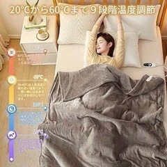 ラスト1点！電気毛布⭐️大判サイズ 掛け布団 掛け敷き兼用 丸洗い 防寒対策 グレージュの画像