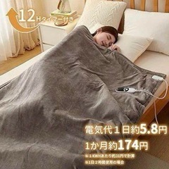 ラスト1点！電気毛布⭐️大判サイズ 掛け布団 掛け敷き兼用 丸洗い 防寒対策 グレージュの画像