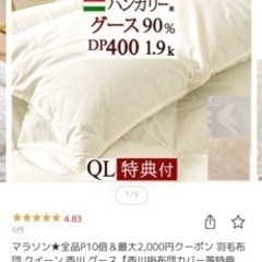 西川　羽毛布団　クイーンサイズ