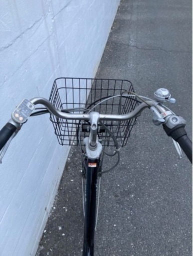 Yamaha PAS Raffini