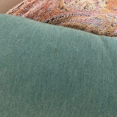 エアウィーブ　ロフテー抱き枕　緑の画像