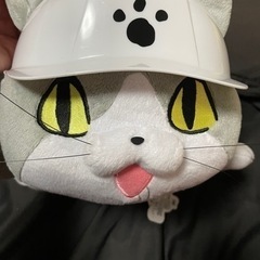 現場猫