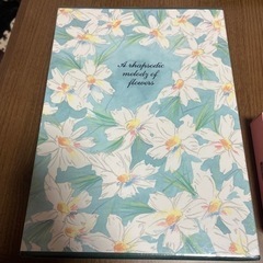 【新品】アルバム