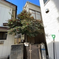 庭木差し上げます