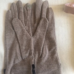 (1)可愛い手袋の画像