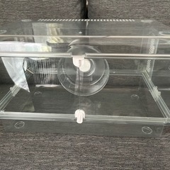 ハムスターゲージグラスハーモニー４５０プラスをお渡しします★