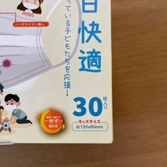 子供用　不織布マスク　30枚×4箱の画像