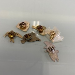 鳥　ピンバッチ　6点セット　バードメイトの画像