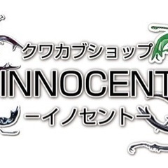 アスタコイデスノコギリクワガタ　クワカブショップ-INNOCENT-の画像