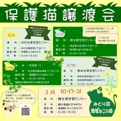 名古屋市南区猫の譲渡会