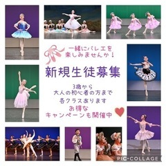 2月・3月限定　新規生徒大募集🎵の画像