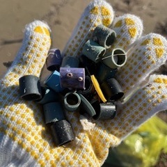 世界遺産の宮島の浜を綺麗にしませんか－？？？ - ボランティア