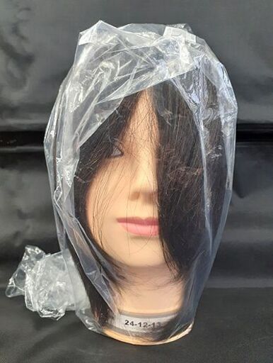未使用【16体セット 三矢 モデルウィッグ 2024 24-12-13】国家試験用