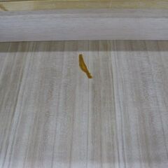 【直接取引】 桐箪笥　3段セットの画像