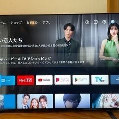 REGZA 65インチ　の画像