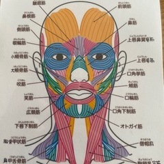 ひが式表情筋ヨガの体験レッスンモニター募集の画像
