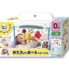 【人気⠀】うちのこ天才 ジムの画像