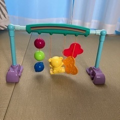 【人気⠀】うちのこ天才 ジムの画像