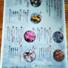 花ごよみの画像