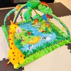fisher price  レインフォレストジム