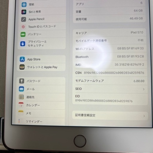 iPad mini 第5世代　セルラー　64G 美品！