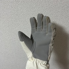 スキー用手袋の画像