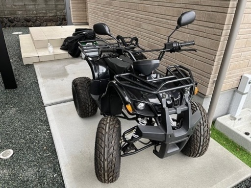 バギー　2021年購入