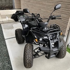 バギー　2021年購入