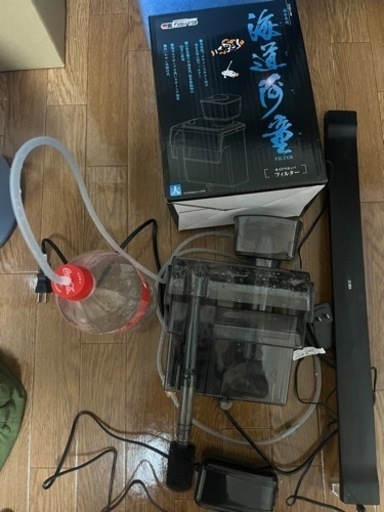 水槽　海水