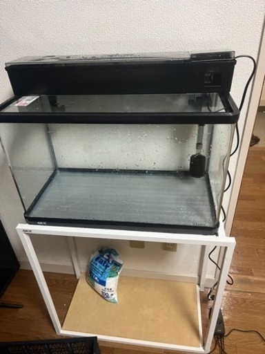 水槽　海水