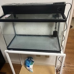 水槽　海水
