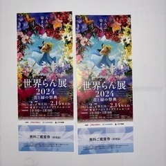 世界らん展2024 ご鑑賞券 2枚  ペア　 