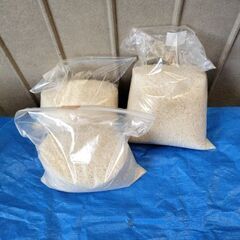 精米済み令和５年度アキサカリです。