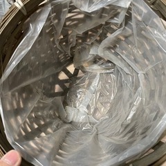 観葉植物鉢カバー2個の画像