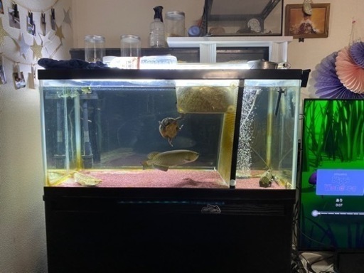 90センチ水槽セット　水槽台