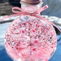 春のオリジナルハーバリウムを一緒に作りませんか？🌸　　　　　ふ - その他