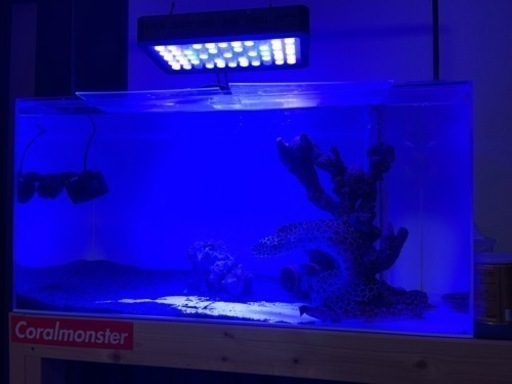 LEDライト　サンゴ飼育用