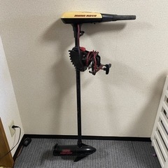 ミンコタの中古が安い！激安で譲ります・無料であげます(4ページ