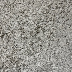 ⭐︎急募【無料•タダ！】ラグ
