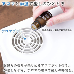 [山善] 加湿器 加熱式 スチーム式  AS-GA25(W)の画像