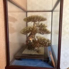 置物　長寿の松　銅製　呼山作の画像