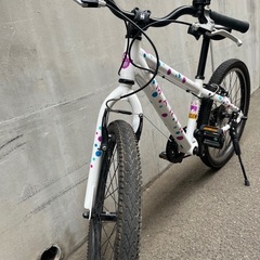 手渡し可能 子供用自転車 MARIN DONKY Jr. 22インチの画像