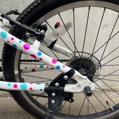 手渡し可能 子供用自転車 MARIN DONKY Jr. 22インチの画像