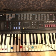 CASIO